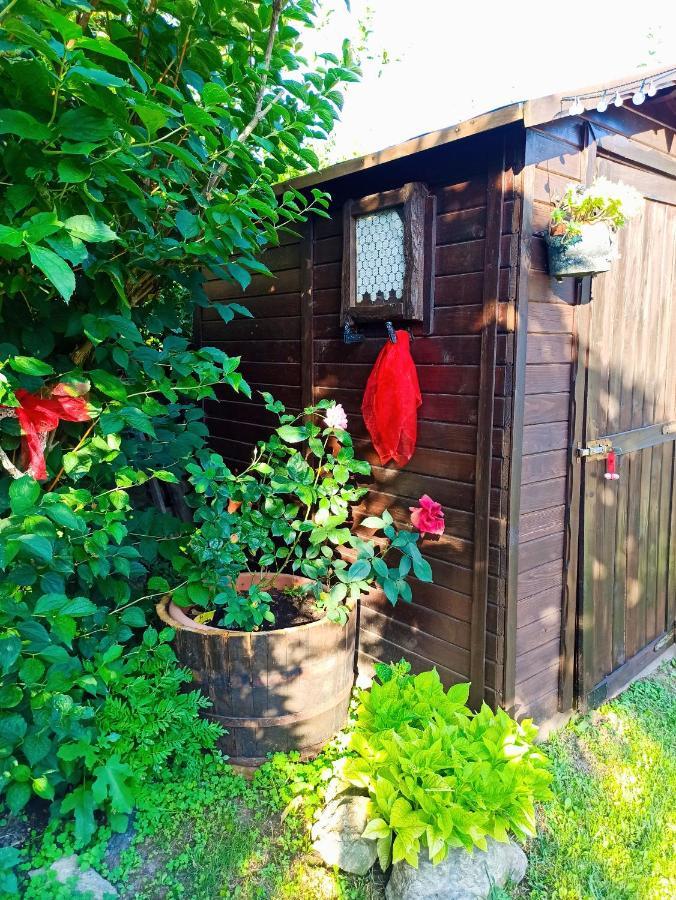 B&B Va...Lentina Piavata Exteriör bild