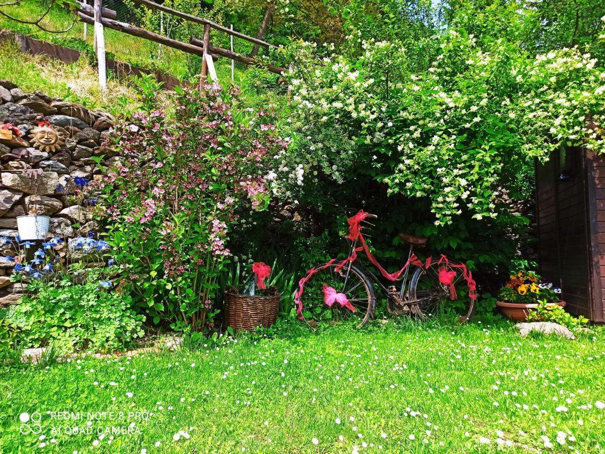B&B Va...Lentina Piavata Exteriör bild