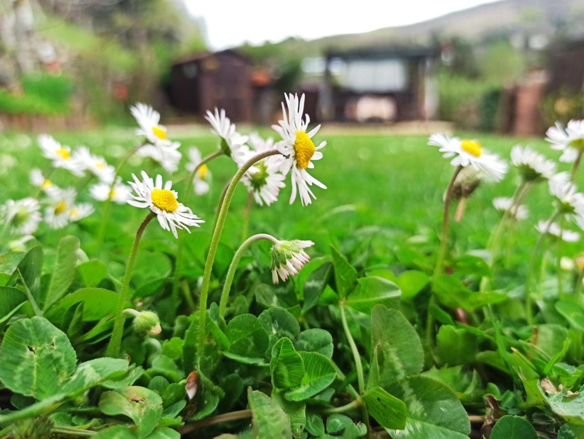 B&B Va...Lentina Piavata Exteriör bild